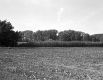 Philippsburg 3