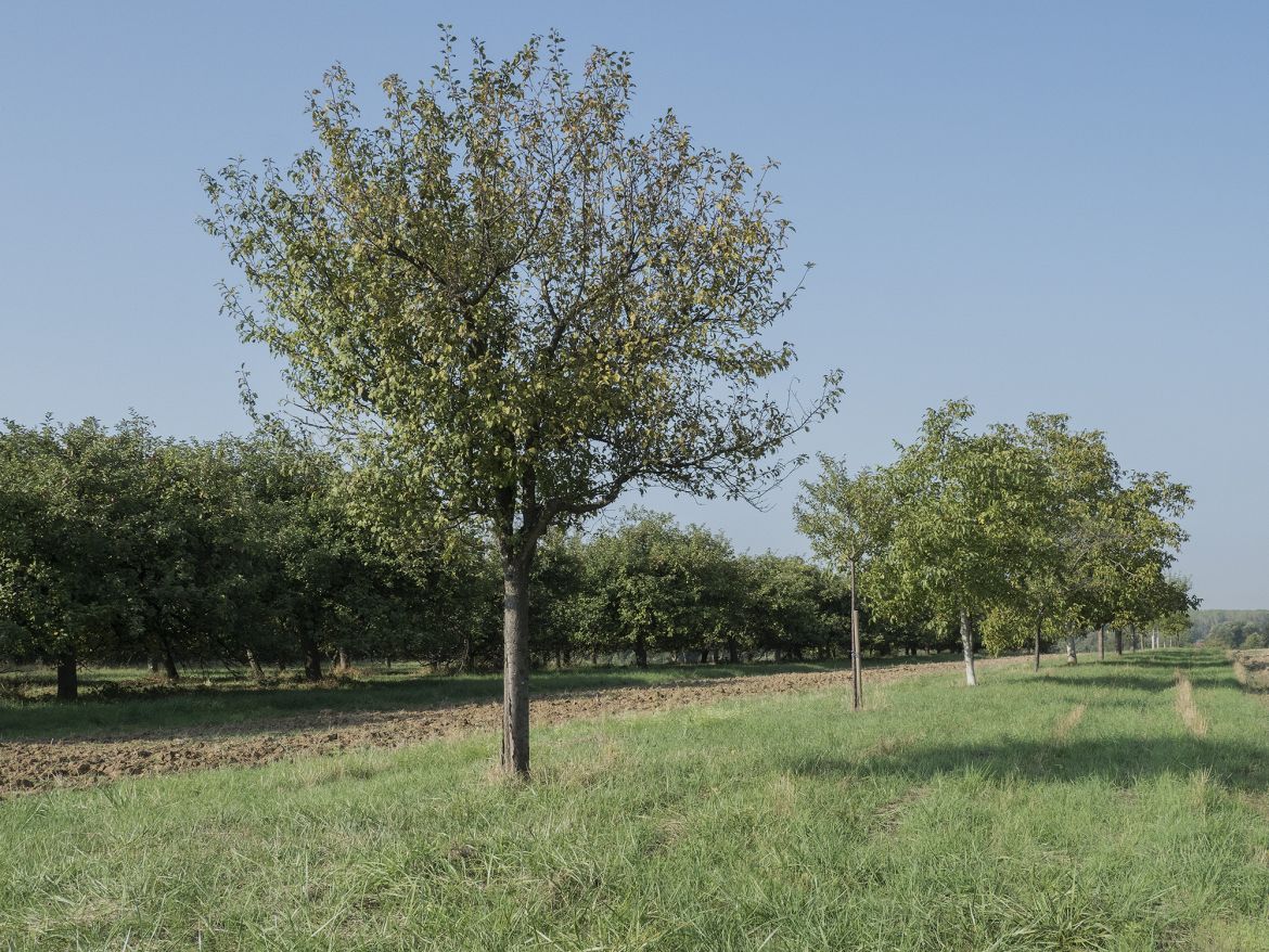 Bild 14