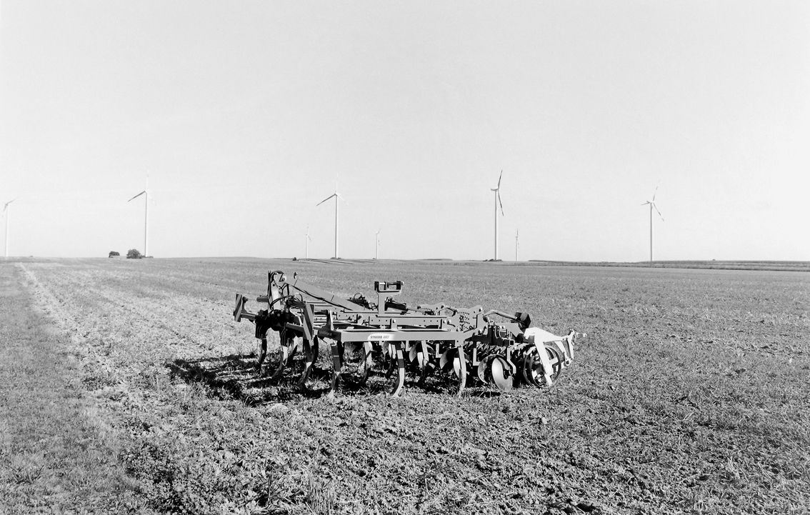 Agrarland Vorderpfalz 108