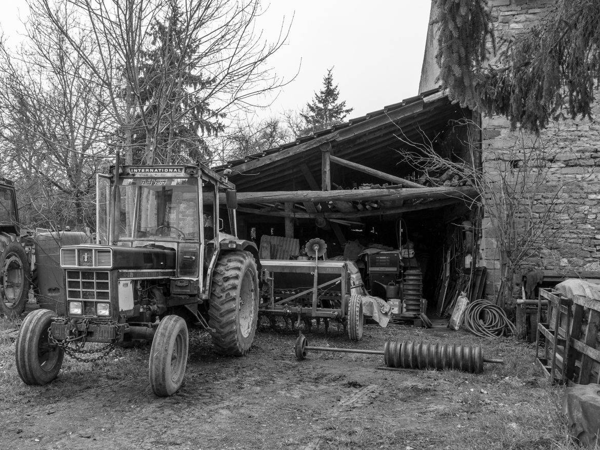 Bild 19
