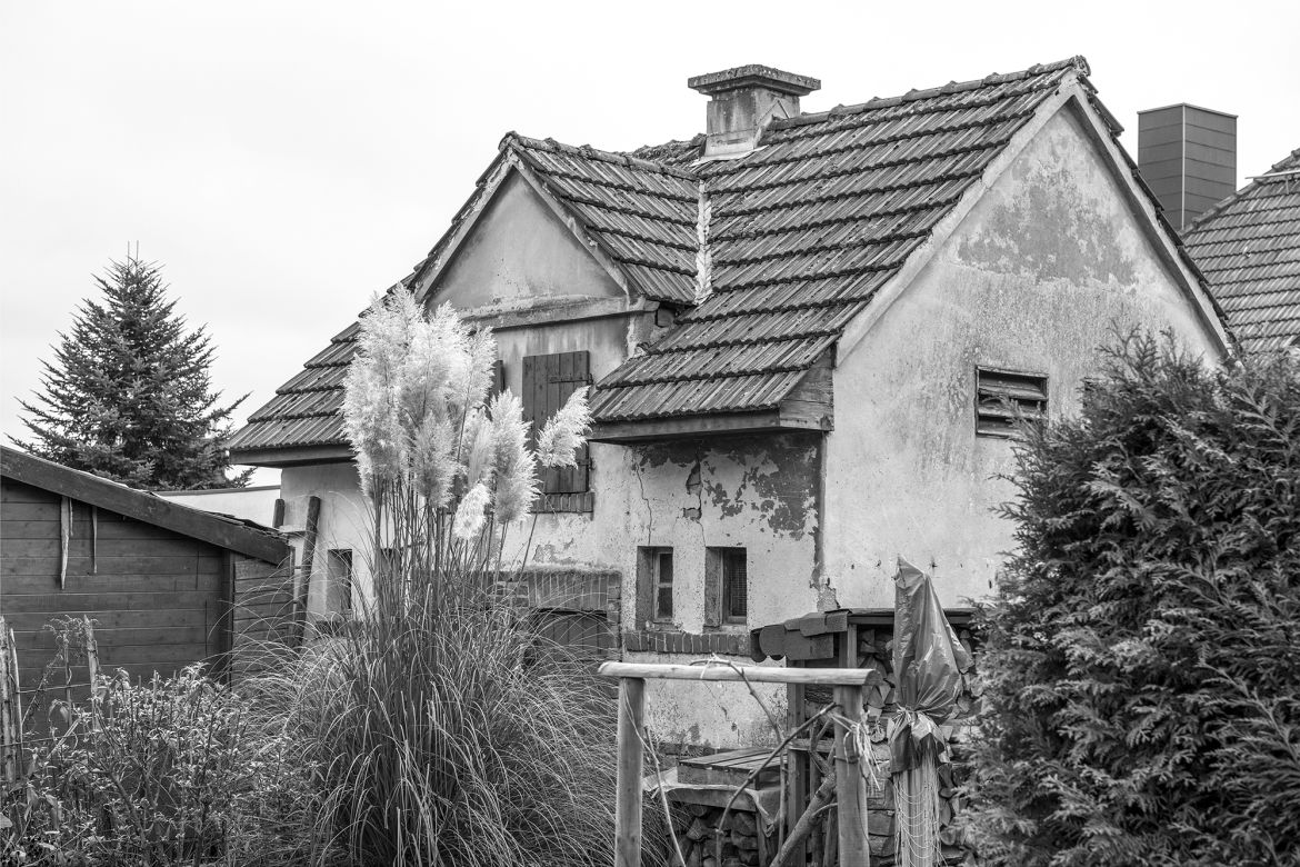 _DSC0495