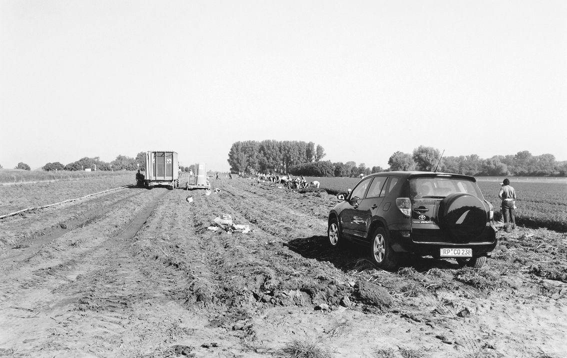 Agrarland Vorderpfalz 39