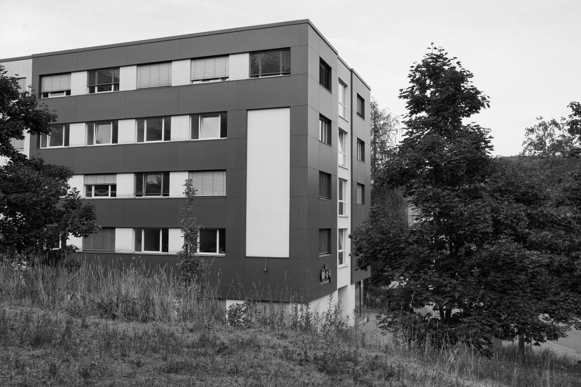 lichtung-23