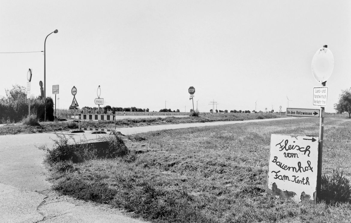 Agrarland Vorderpfalz 51