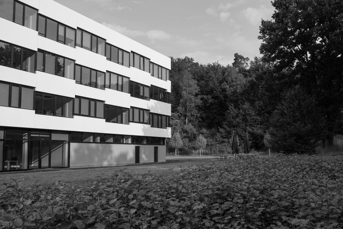 lichtung-50