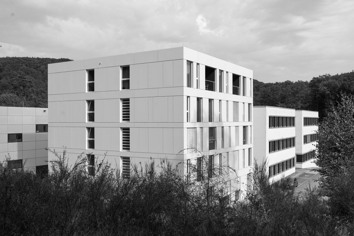 lichtung-24