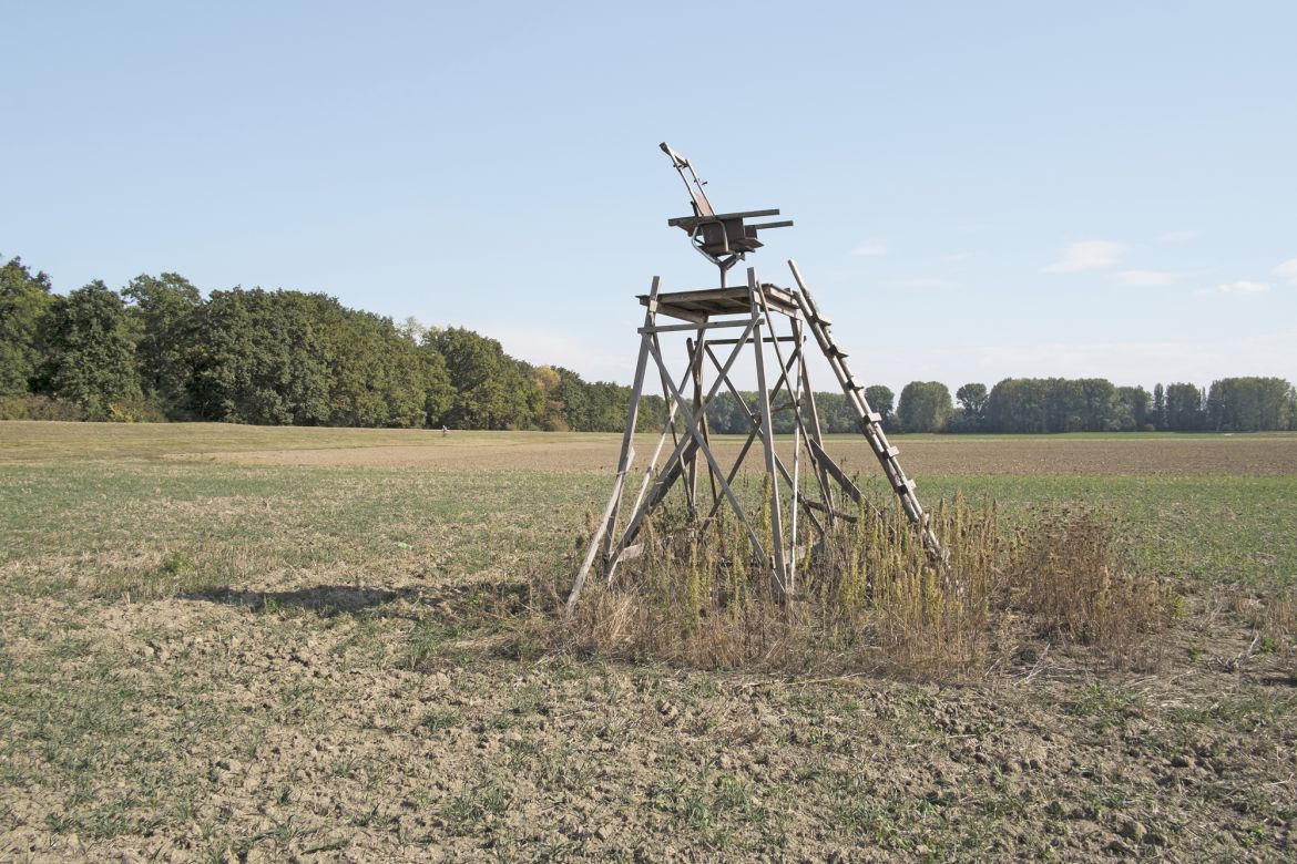 044 Hochsitz nahe Mechtersheim