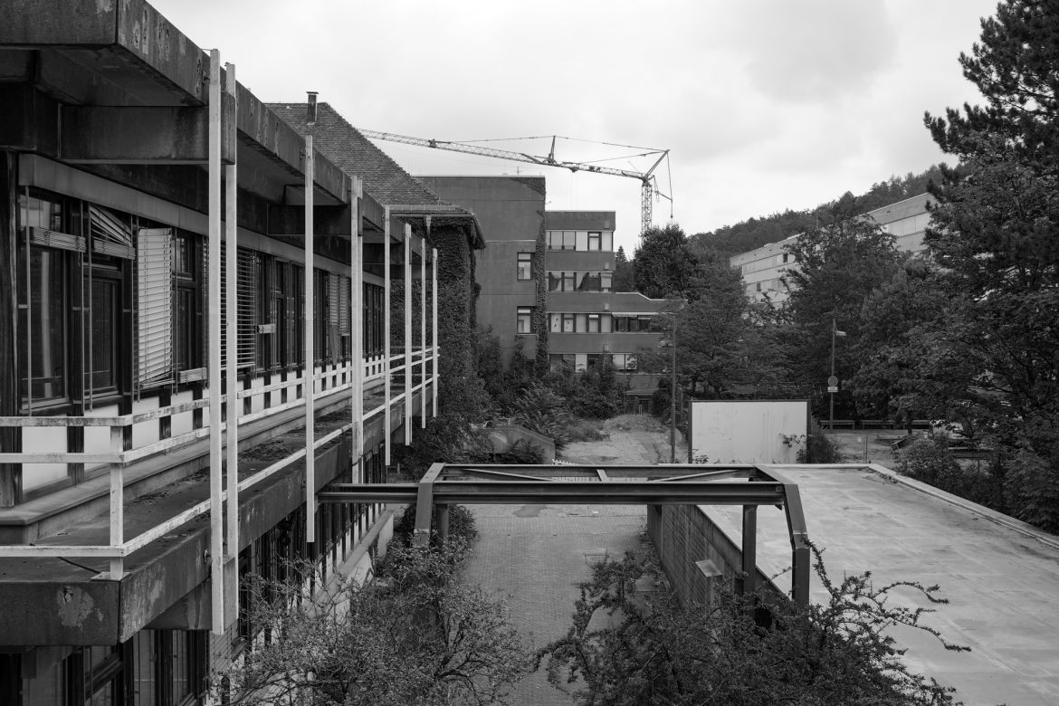 lichtung-44