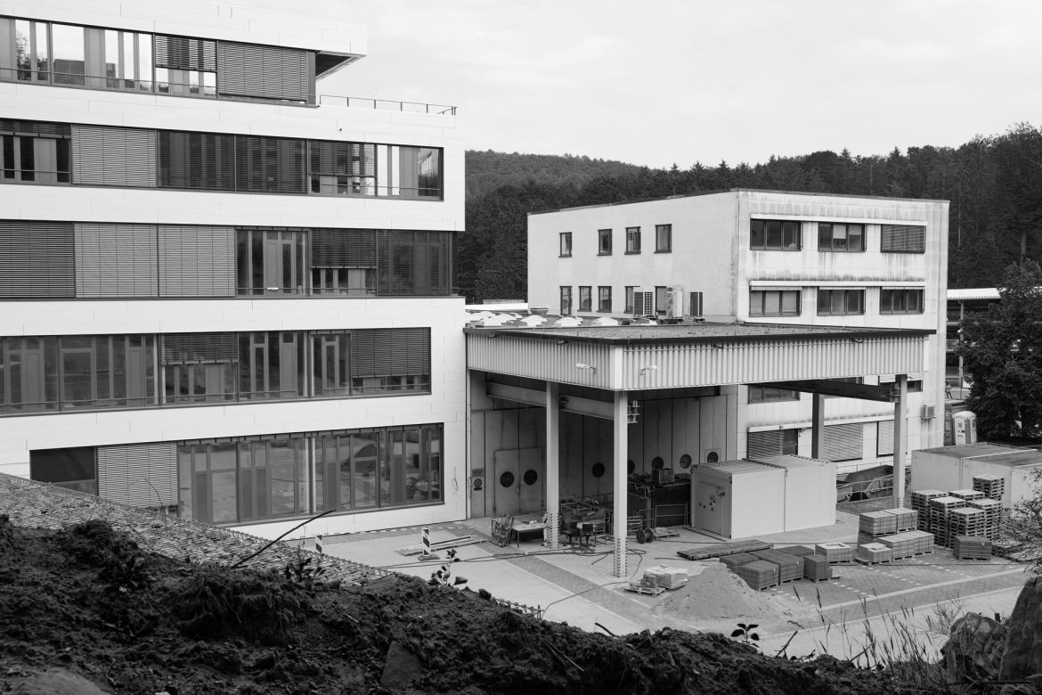 lichtung-19