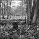 01 Grenzgänge-001