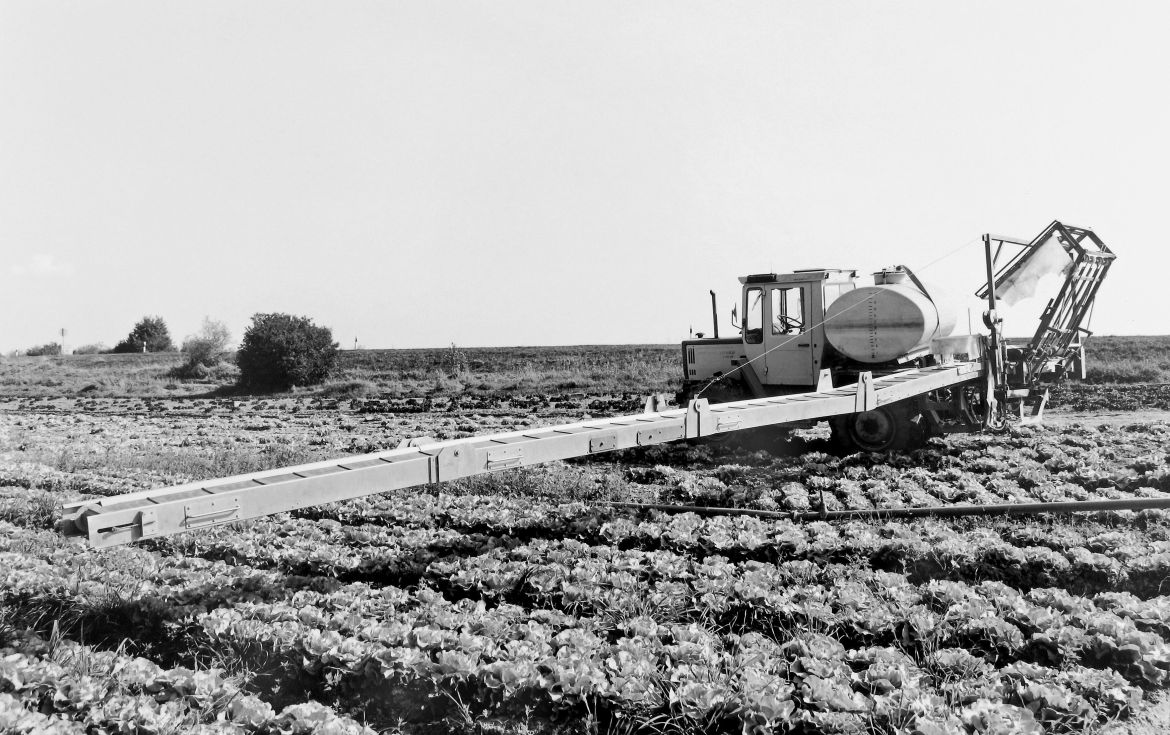 Agrarland Vorderpfalz 61