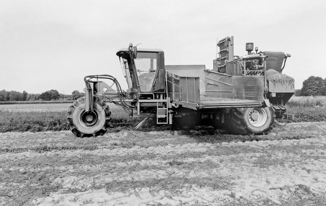 Agrarland Vorderpfalz 75