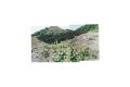 029_Halde_Hostenbach