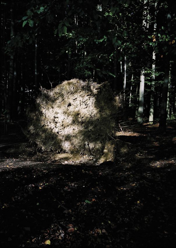 16_chantalv_186F_14_2010