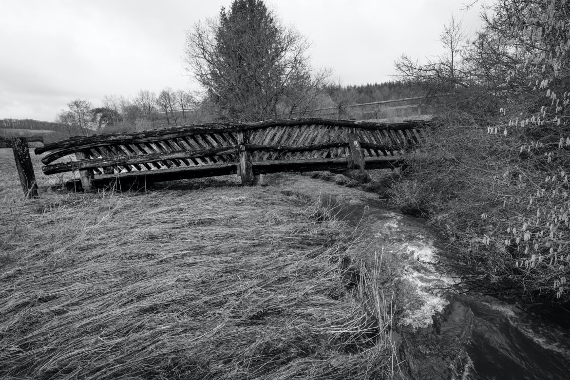 An der Alf-09