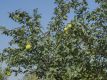 Bild 05