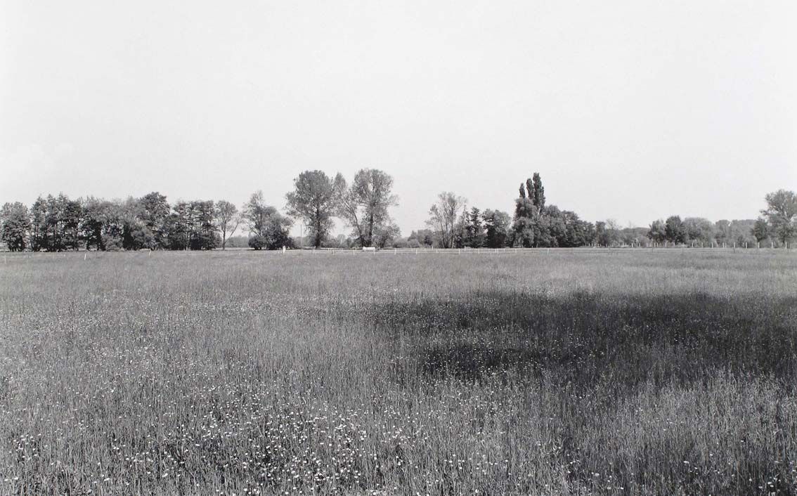 Agrarland Vorderpfalz 71