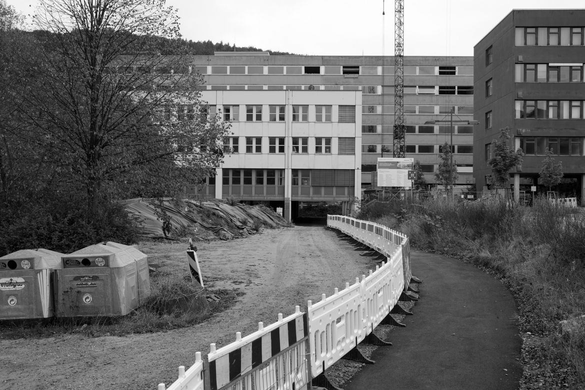 lichtung-15