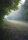 15_chantalv_184F_13_2010