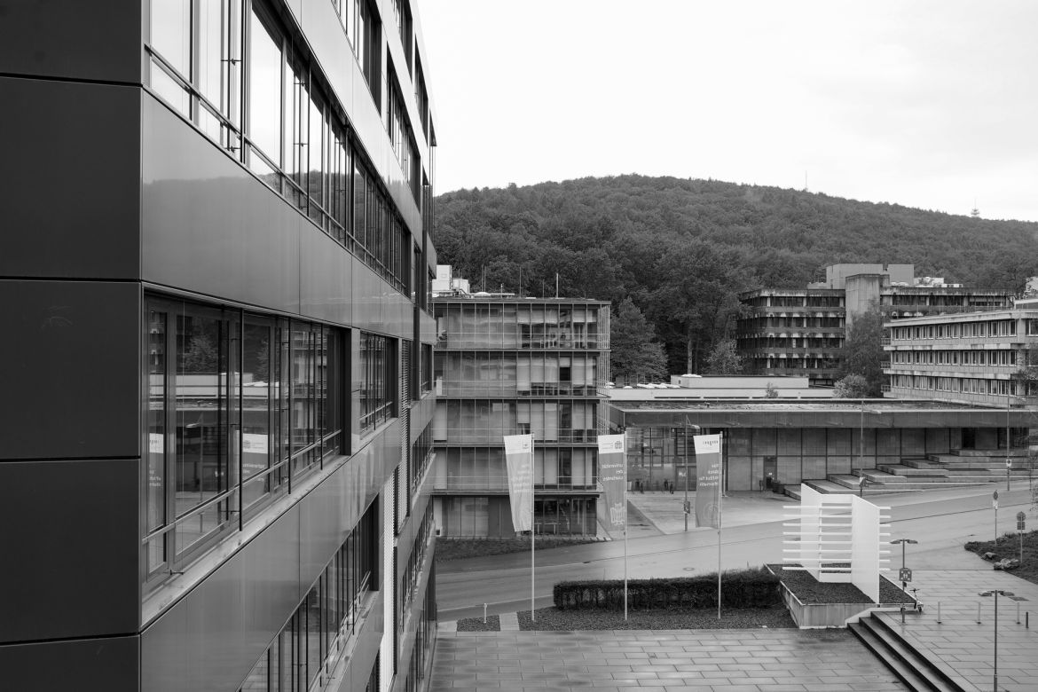 lichtung-43