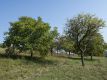 Bild 08